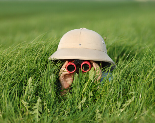 Ormit Talent branding foto