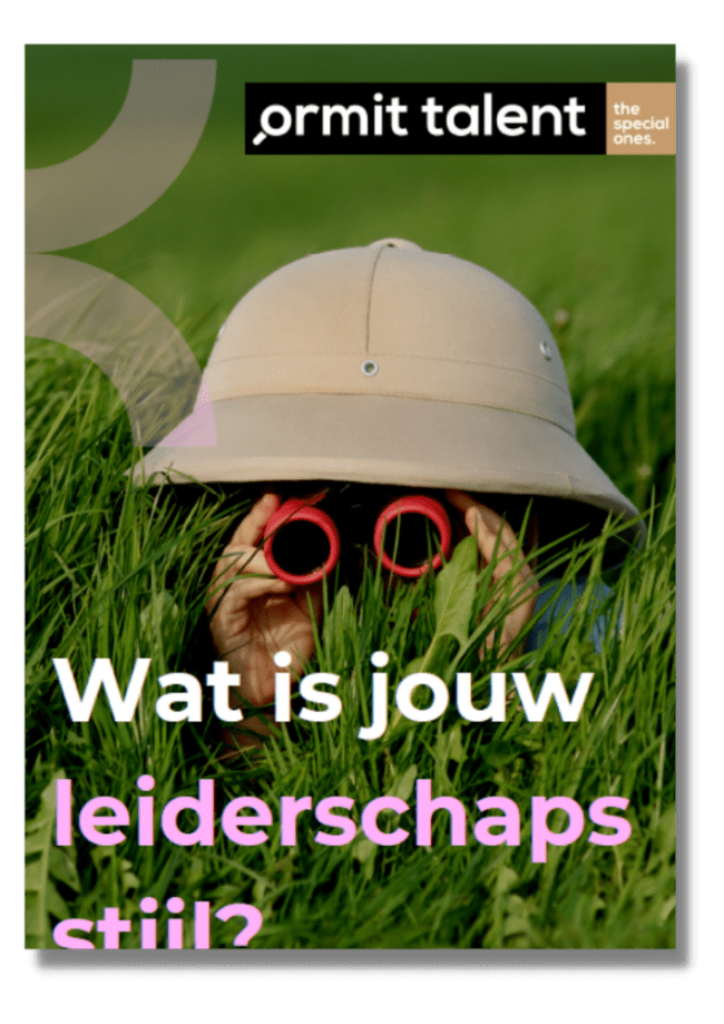 Wat is jouw leiderschapsstijl?